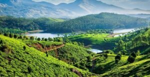 God's Own Country – Kerala (6 Nights / 7 Days)